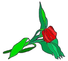 Stilelement Rose