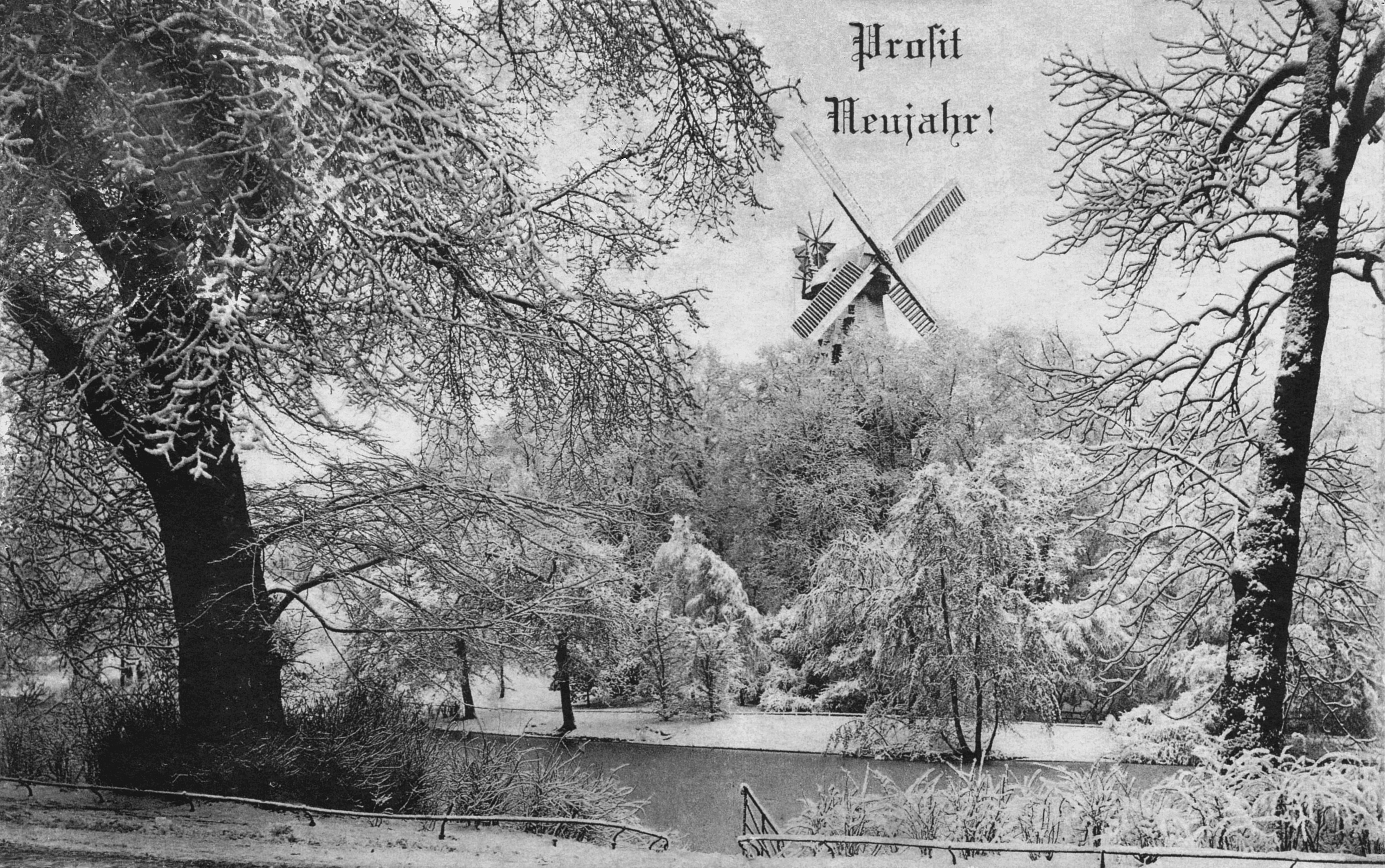 Nr.284