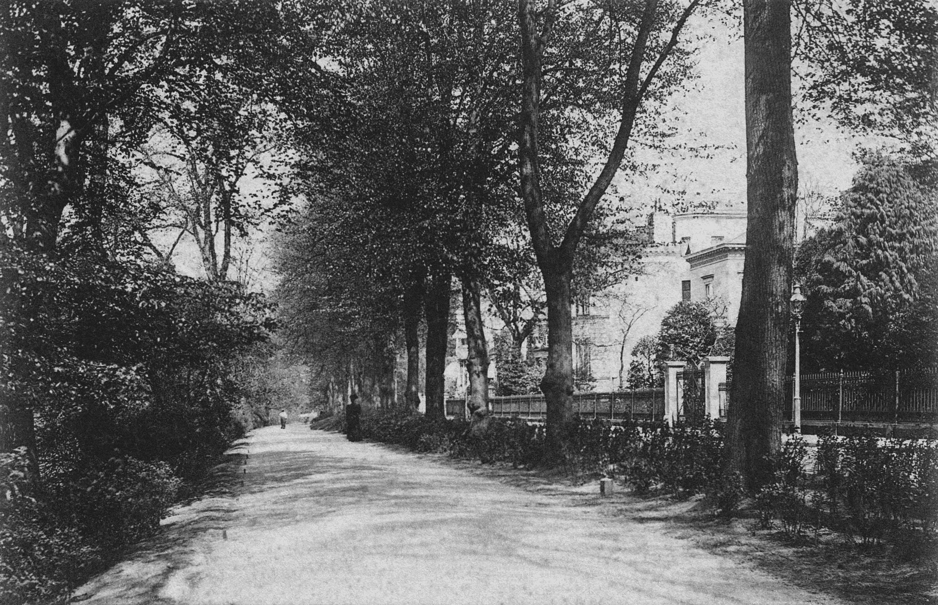 Nr.362