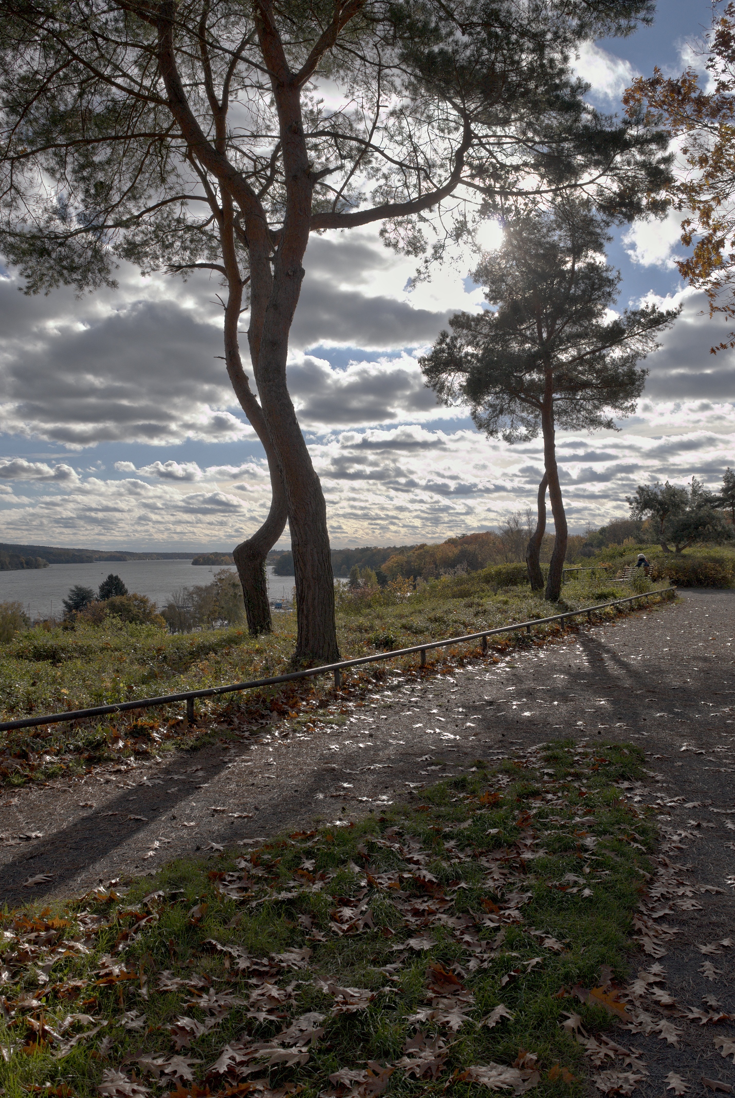 Gatow, Haveldne, Kiefern