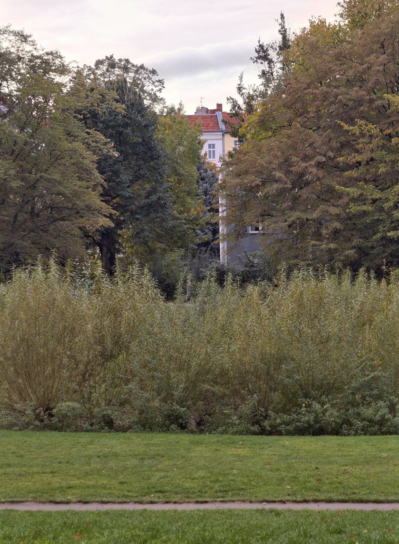 Volkspark Wilmersdorf, Wiese am Rias