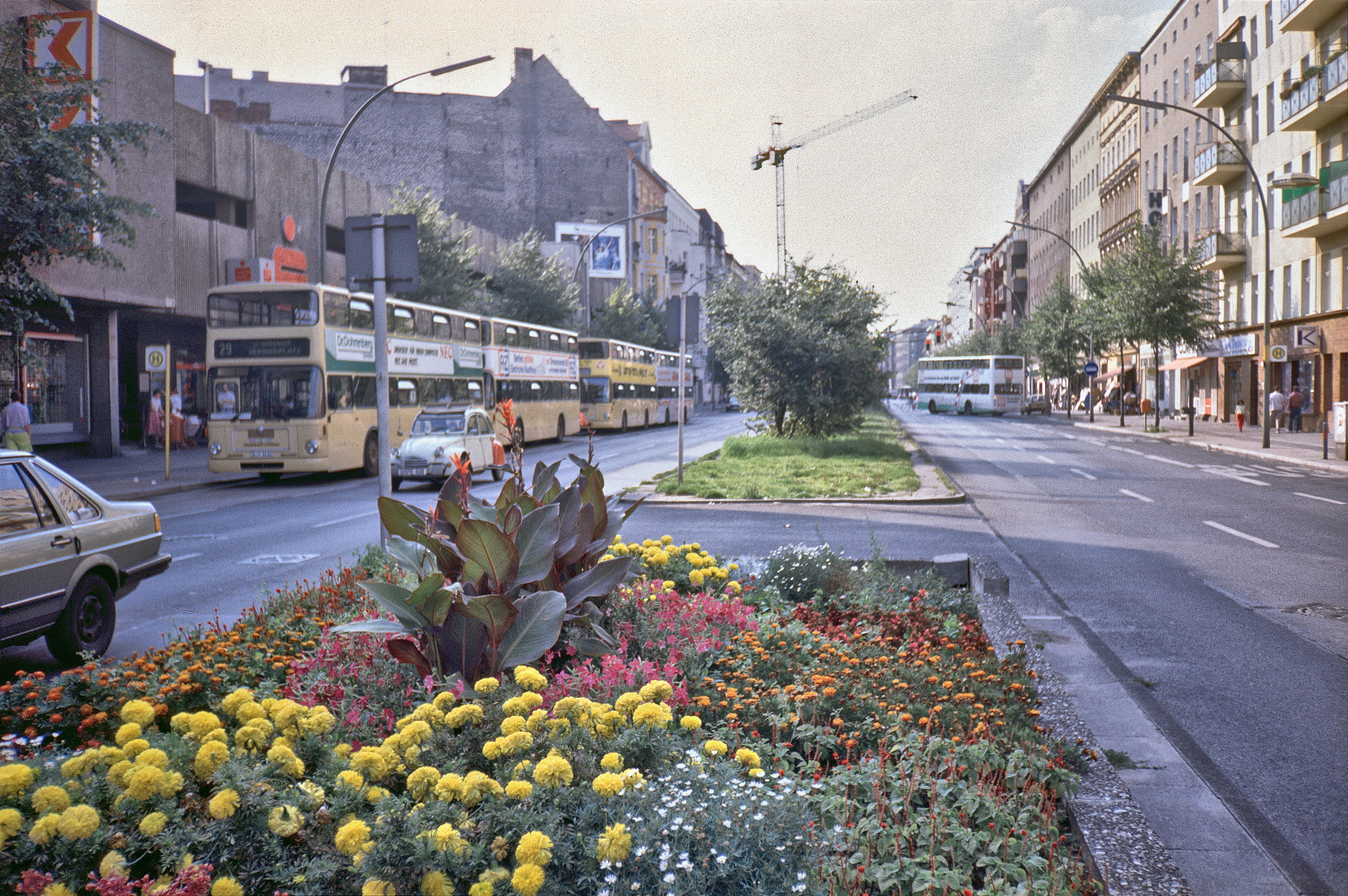 Blumenbeet und Doppeldeckerbusse in der Urbanstrasse