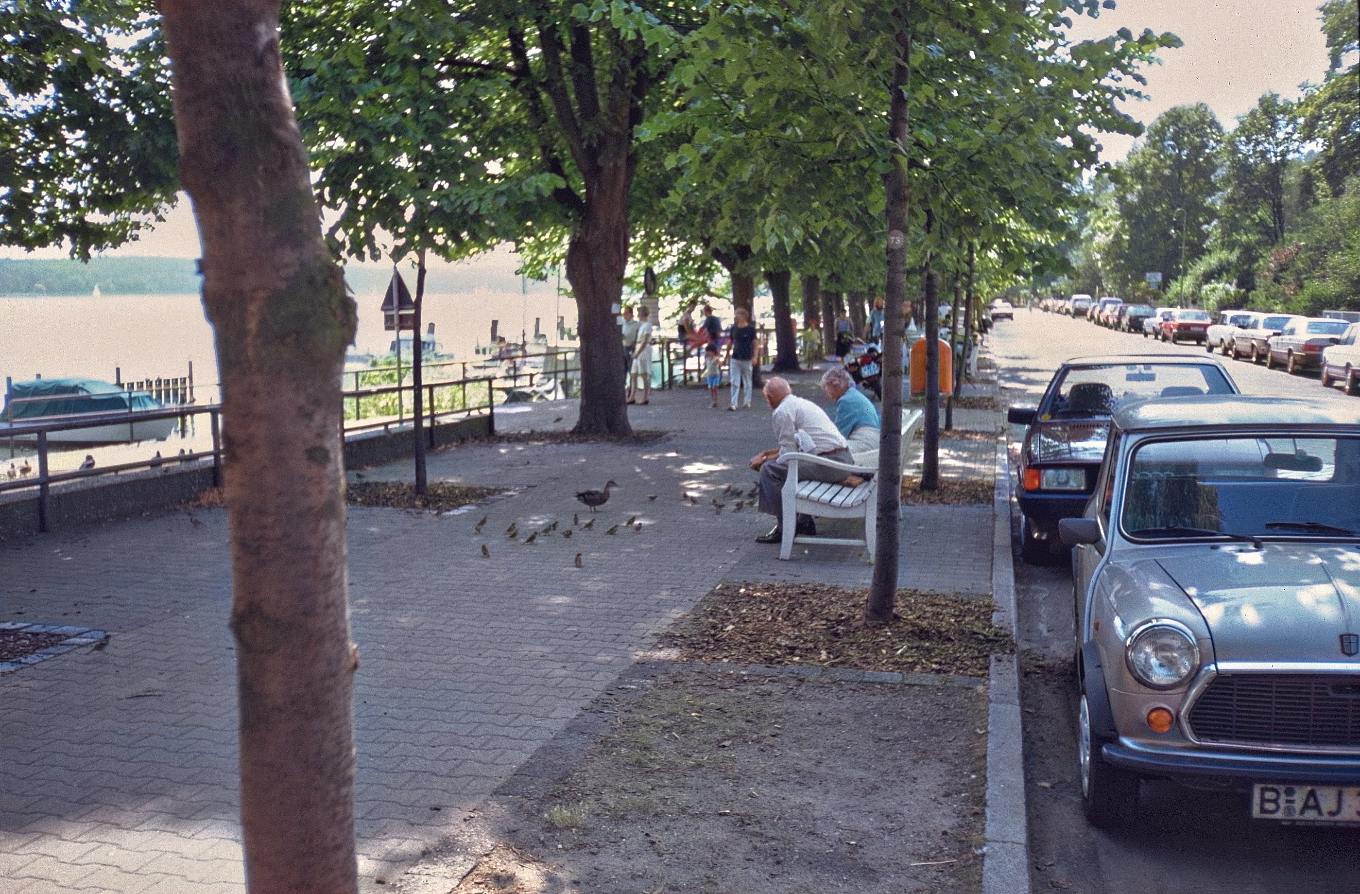 Berlin 1989, Imchenallee, Uferpromenade, Spatzenfuettern