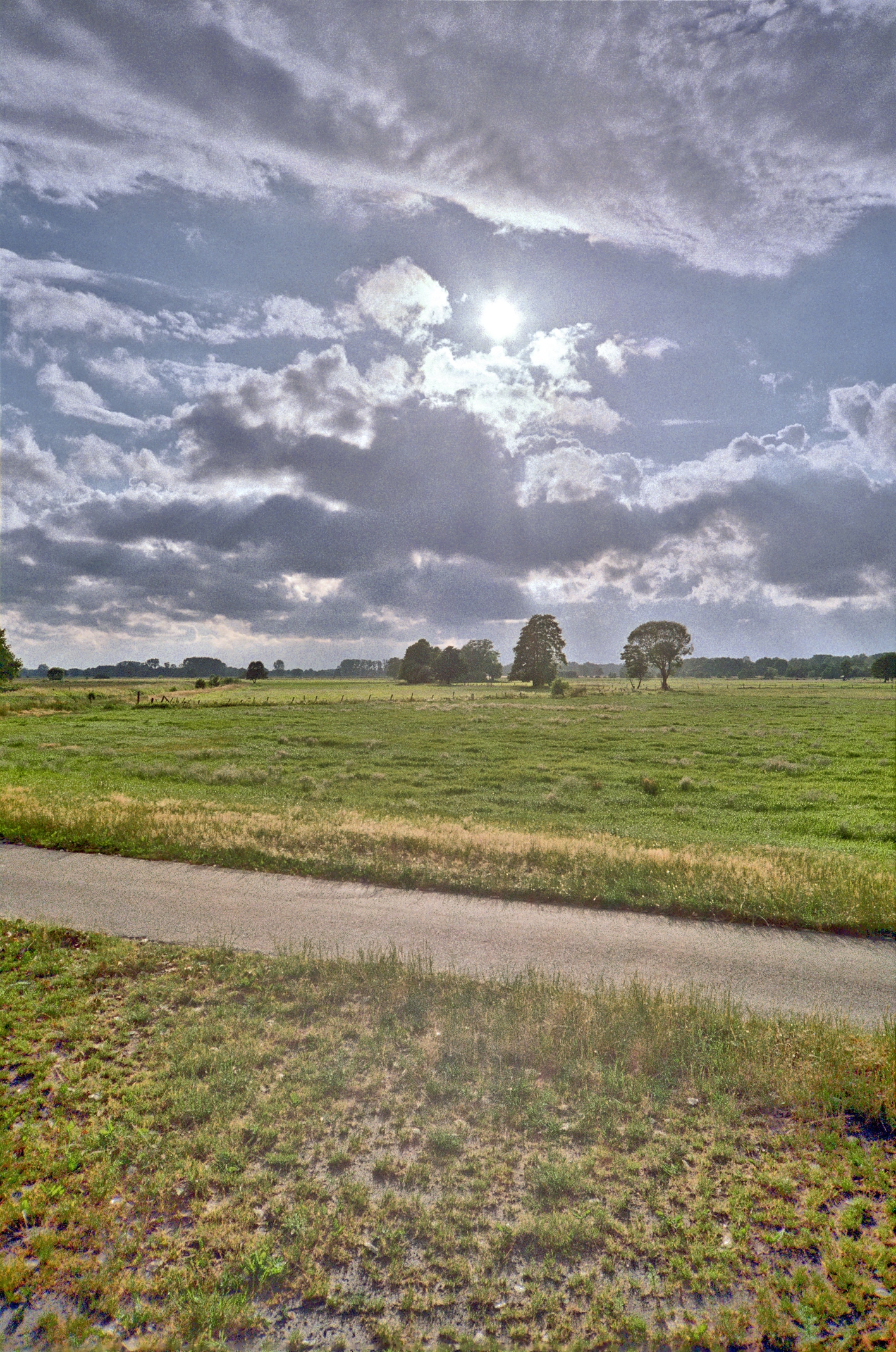 Wiesen bei Fischerhude im Gegenlicht
