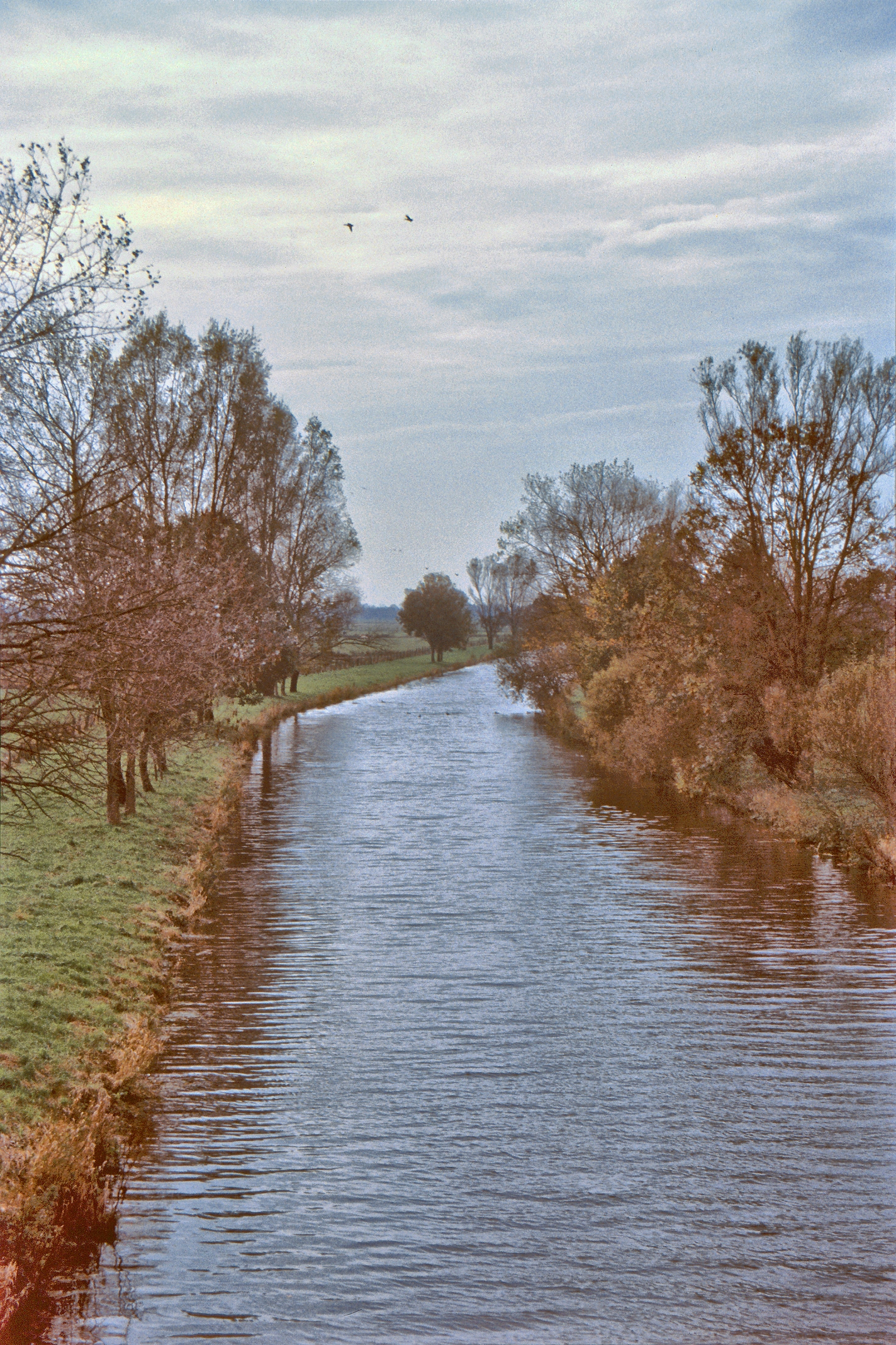 Hammeblick Richtung Worpswede, Friedensheimer Strasse