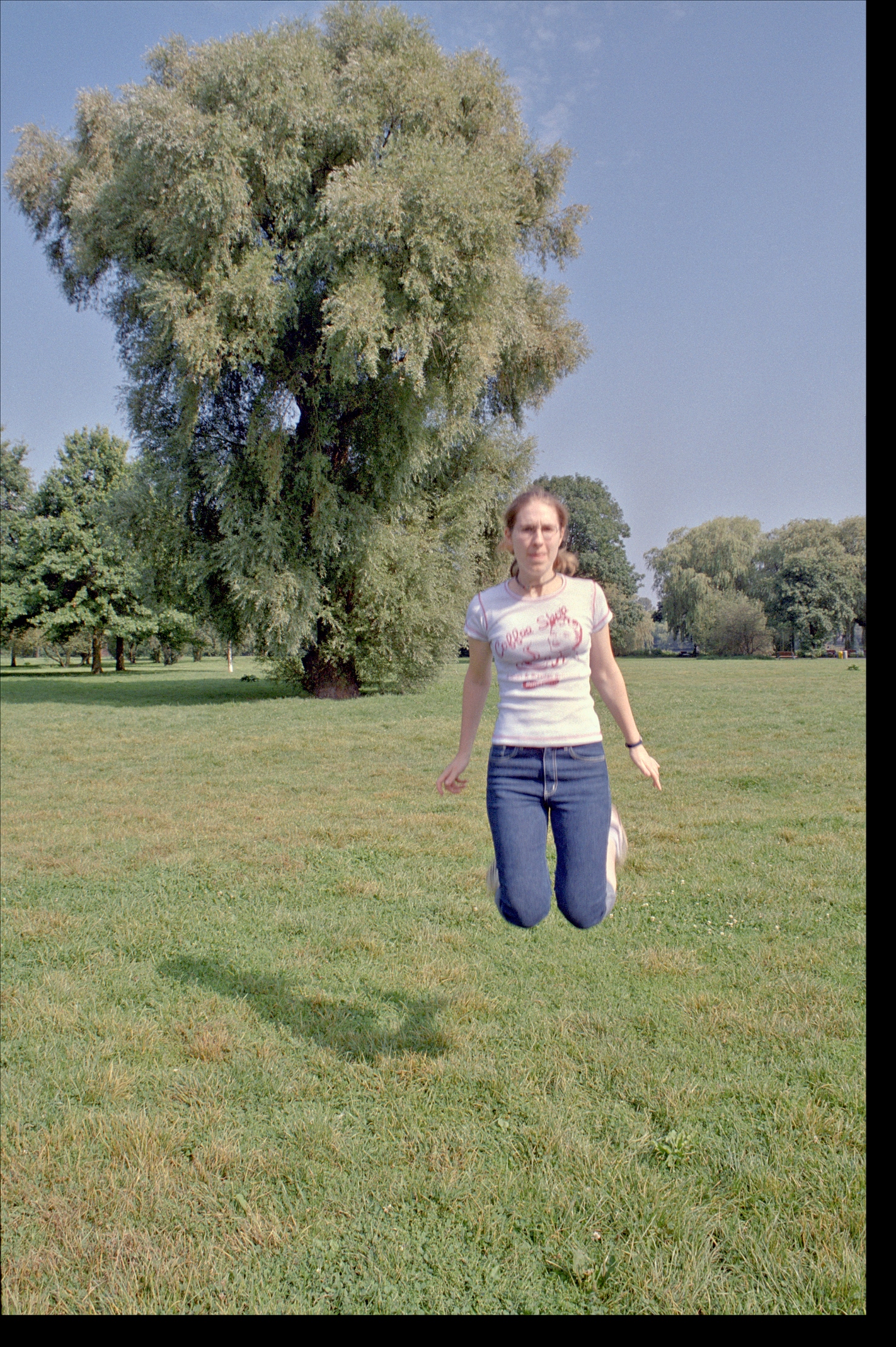 Parkwiese an der Alster, Sprung