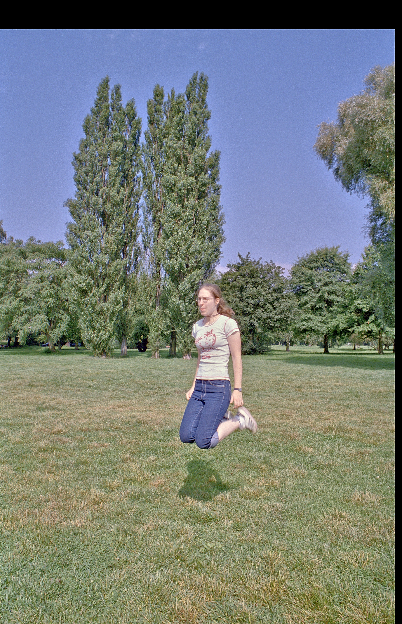 Parkwiese an der Alster, Sprung