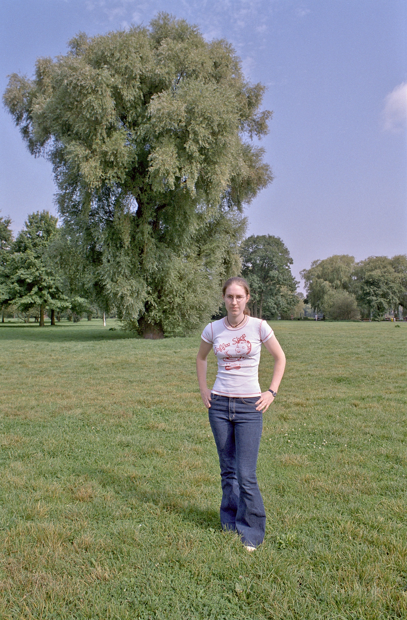 Hamburg, Aussenalster, Hoehe Sophienterrasse