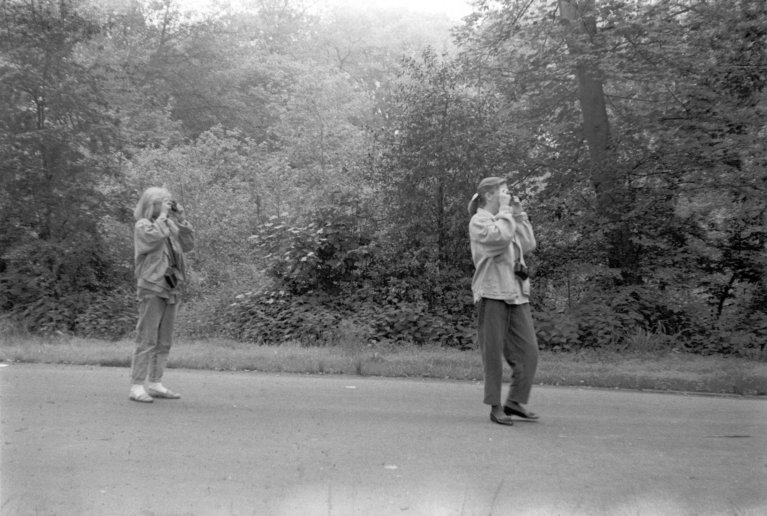Eiszeit, Meierei, Bremer Bürgerpark