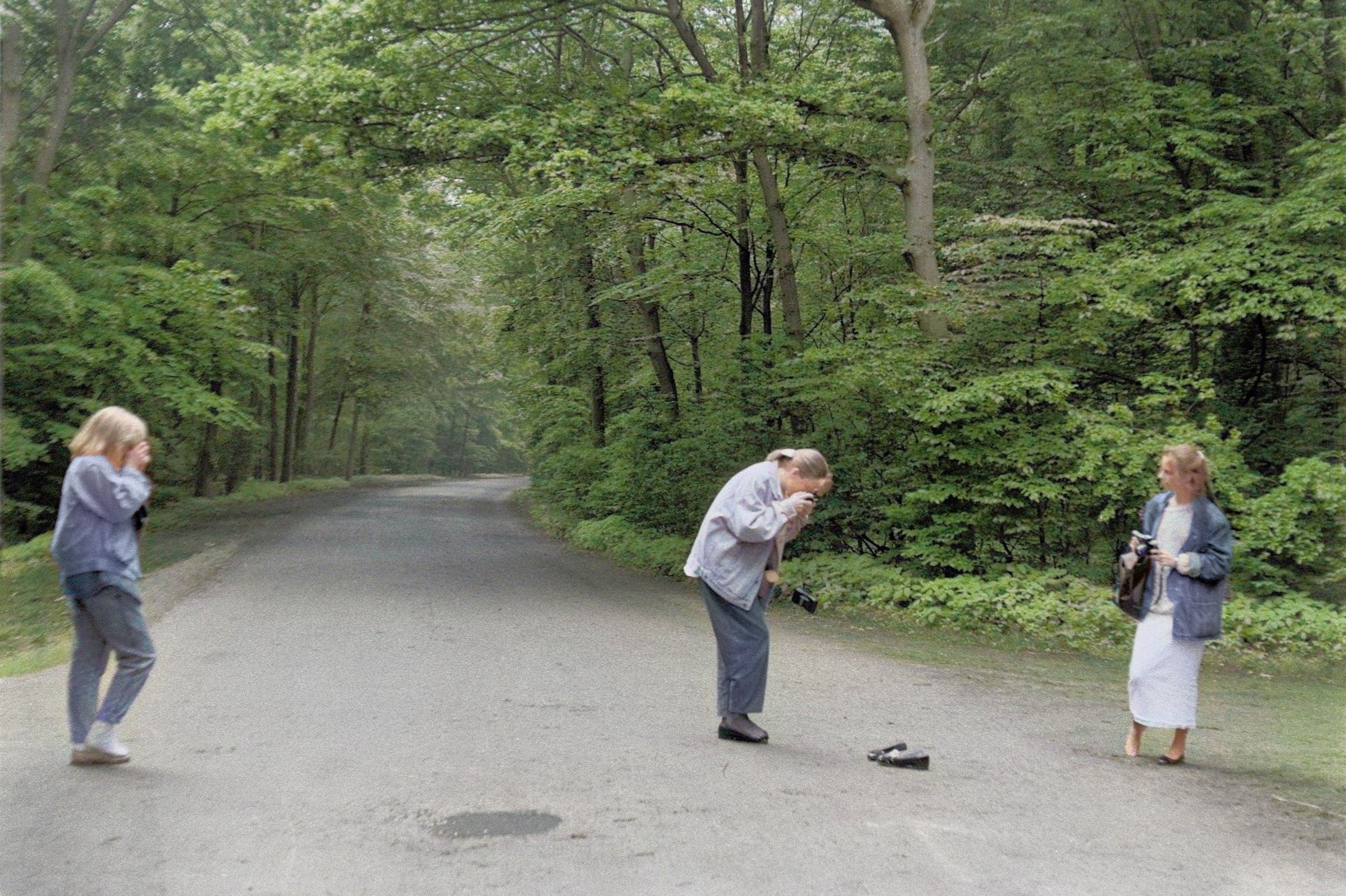 Eiszeit, Meierei, Bremer Brgerpark