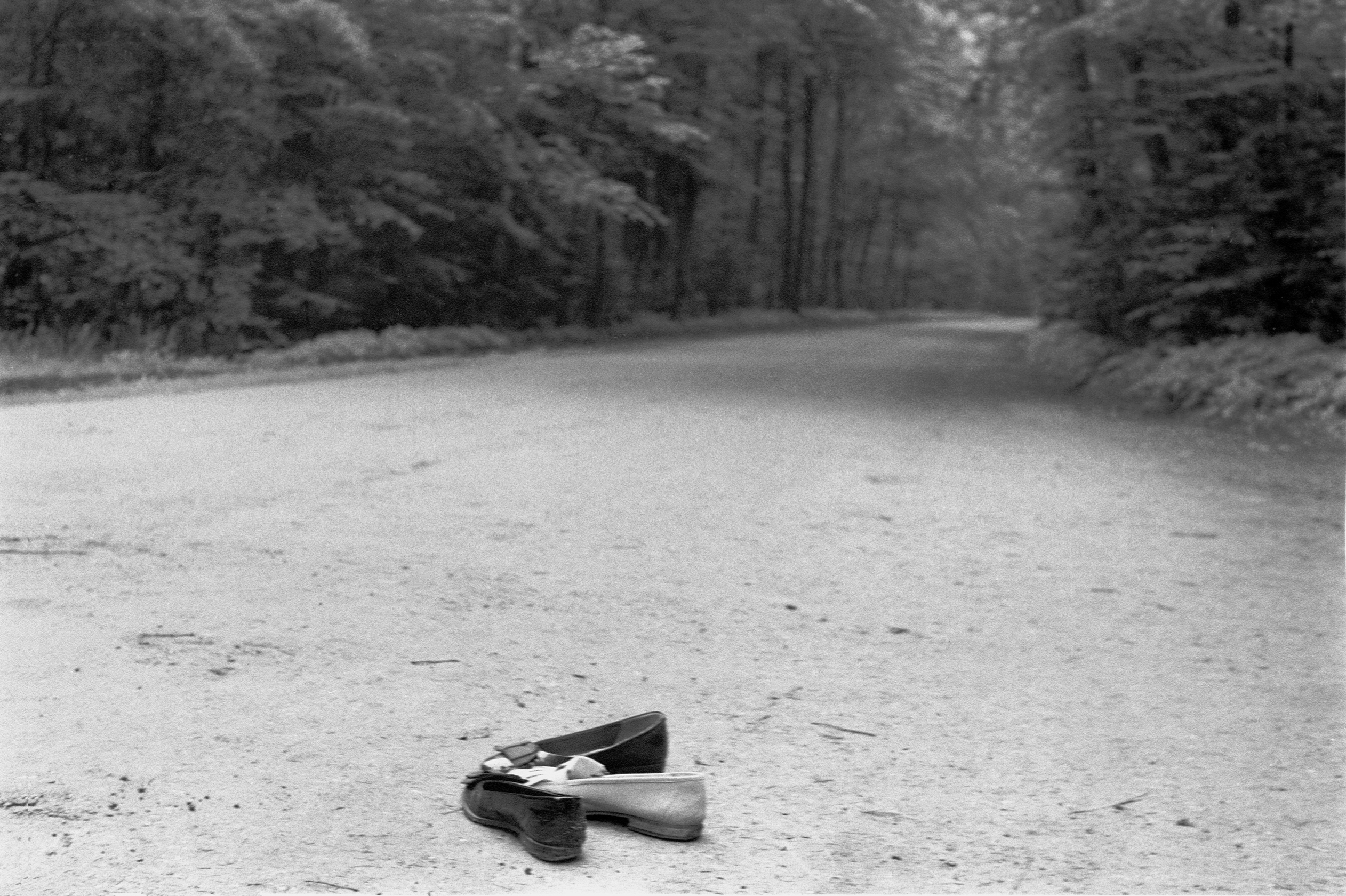 Eiszeit, Meierei, Bremer Bürgerpark