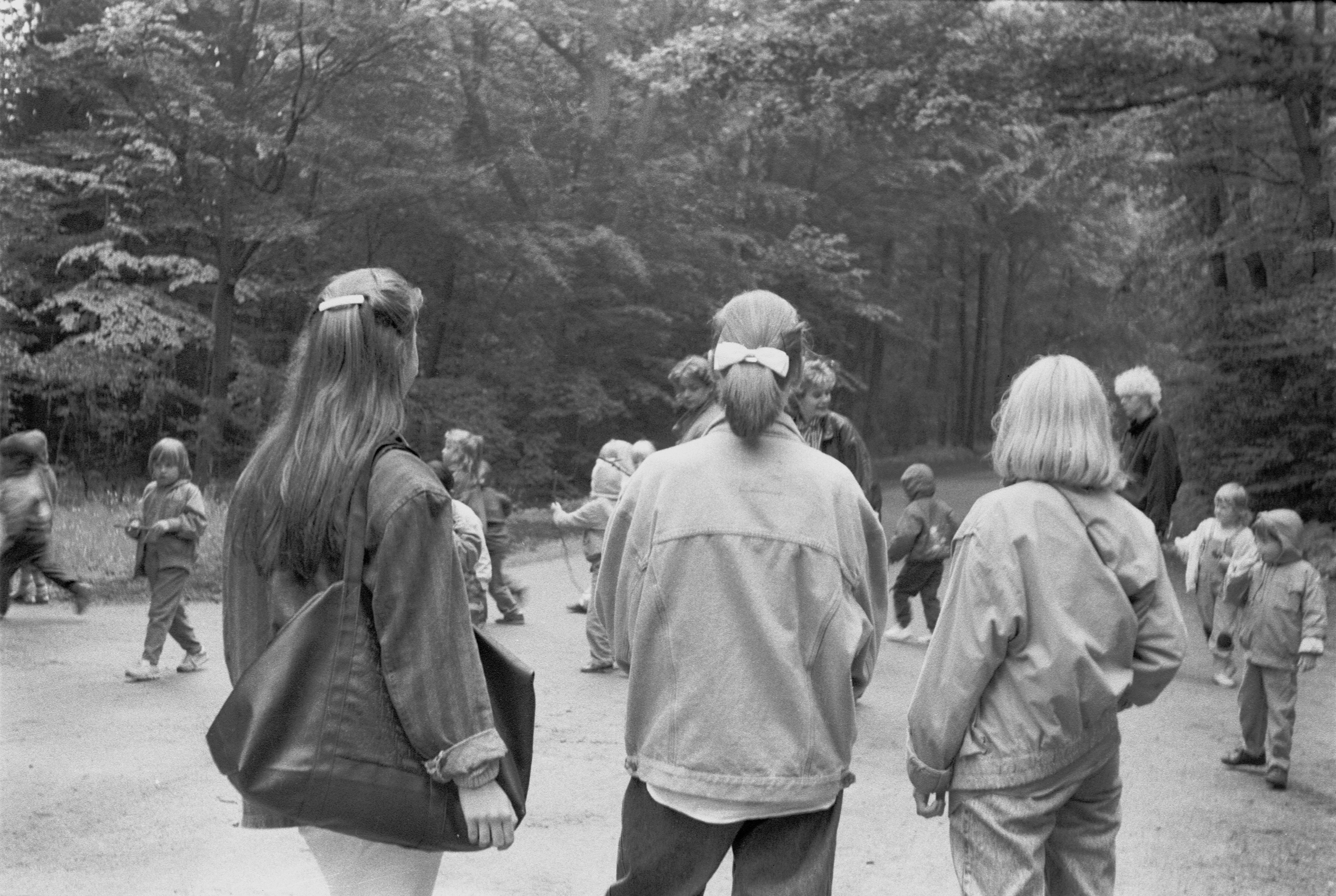 Eiszeit, Meierei, Bremer Bürgerpark