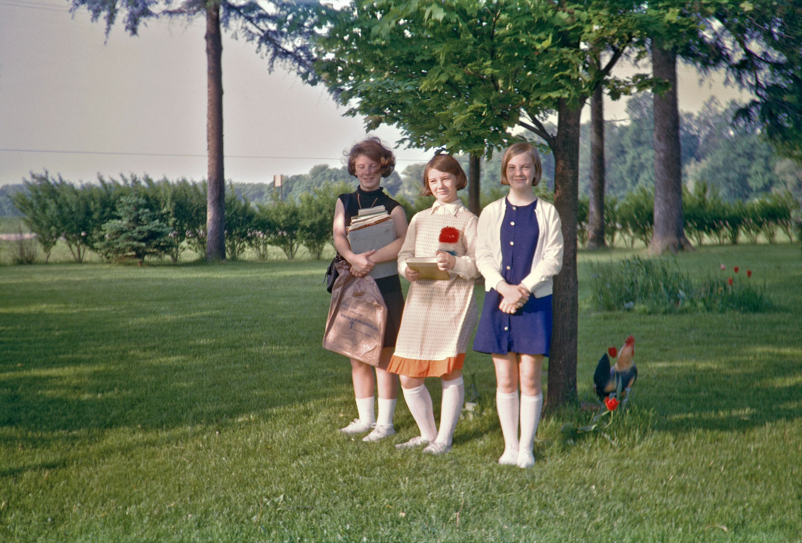 Drei auf Wiese mit Hahn und Tulpen,  USA 1950