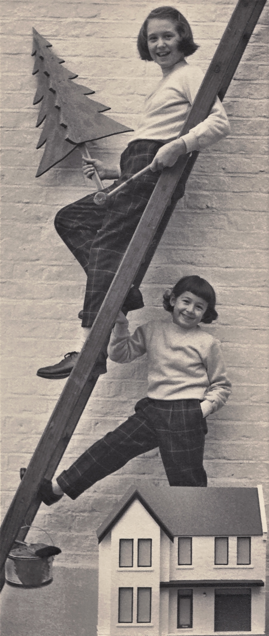 Leiter, Tanne, Haus, Steinwand