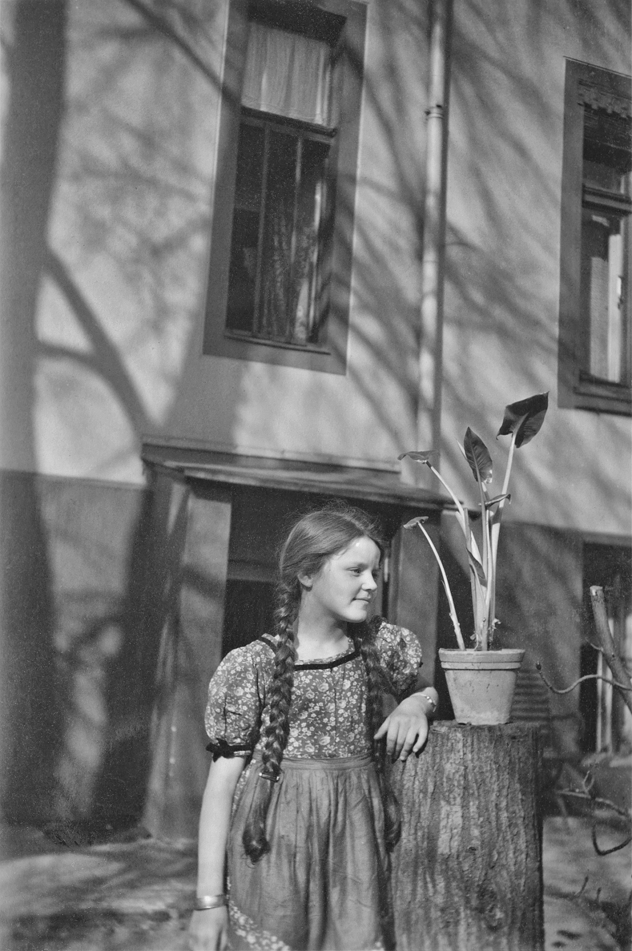 Topfpflanze vor Hauseingang