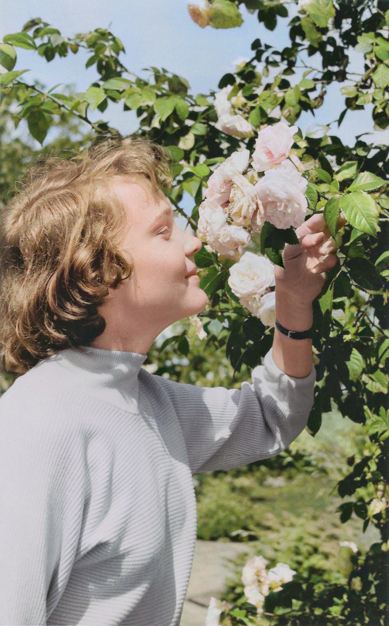 Fotosession in Planten und Blomen, Rosenduft