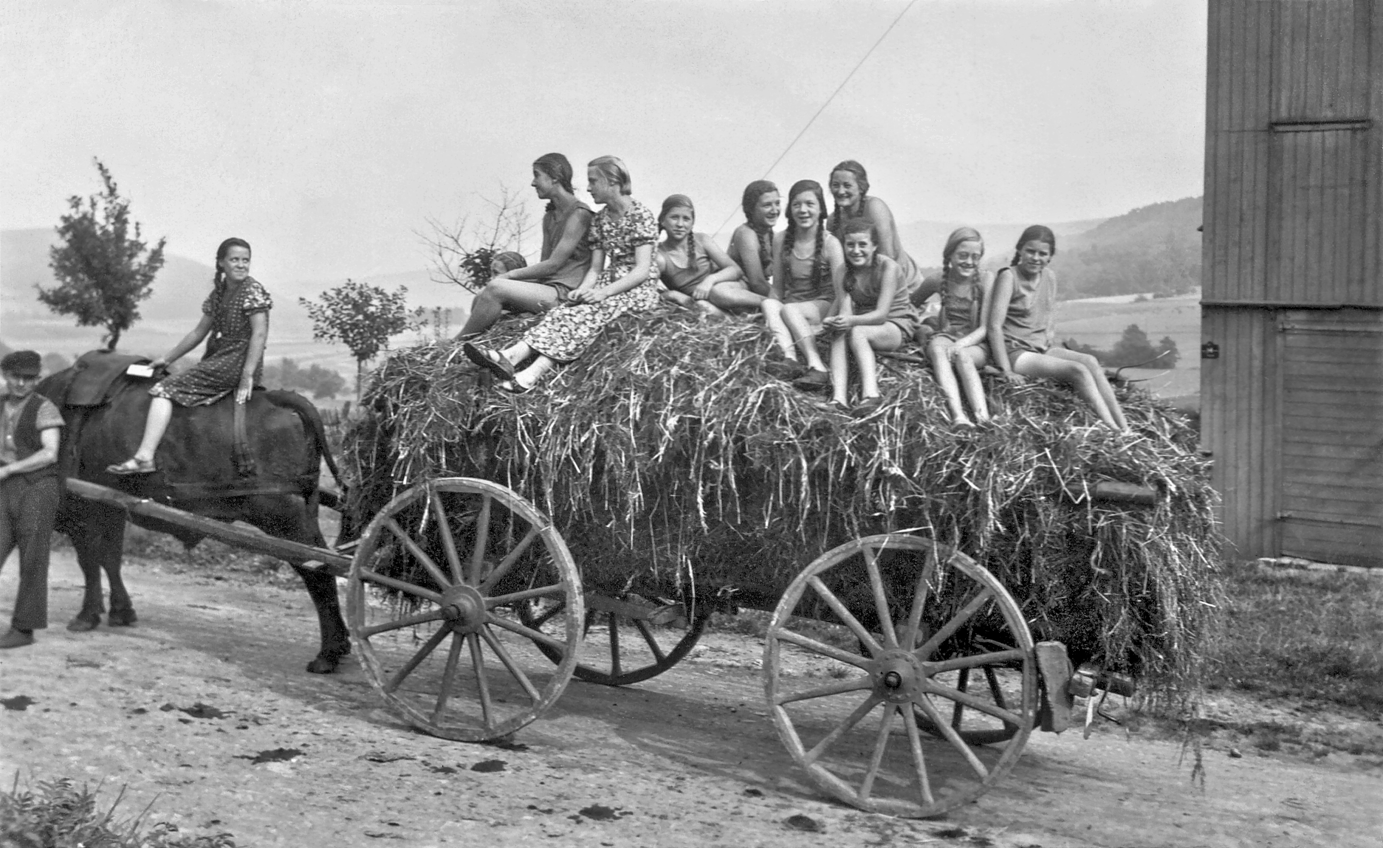 Gruppe Mdels auf Heuwagen