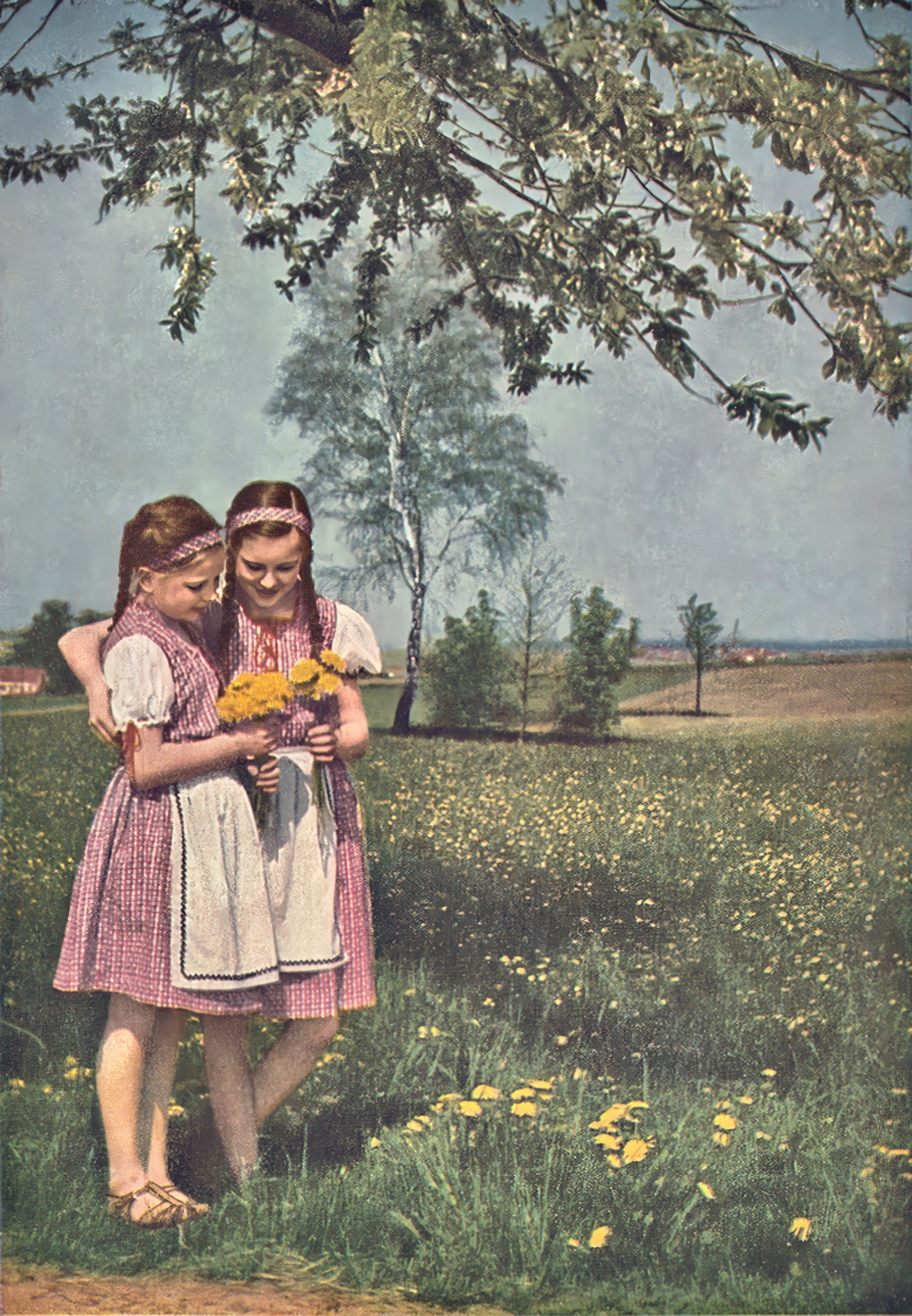 Zwei auf der Blumenwiese, 30er Jahre, Farbfoto
