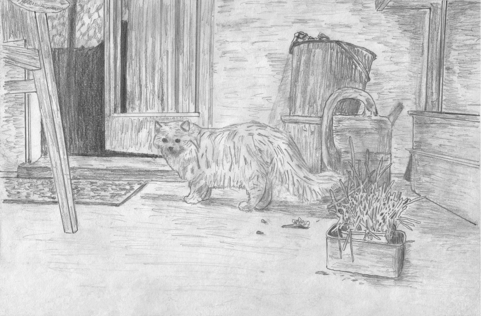 GIF - Die weisse Katze - 6x KI-Bild